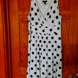 Chaps XL polka dot dress